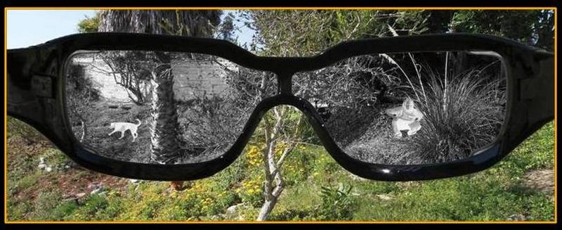 thermal imaging glasses