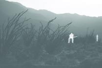 desert night vision with advantage thermal imaging technology